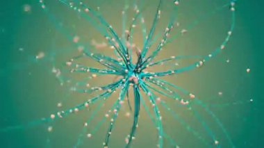 Soyut bükülmüş spiderweb