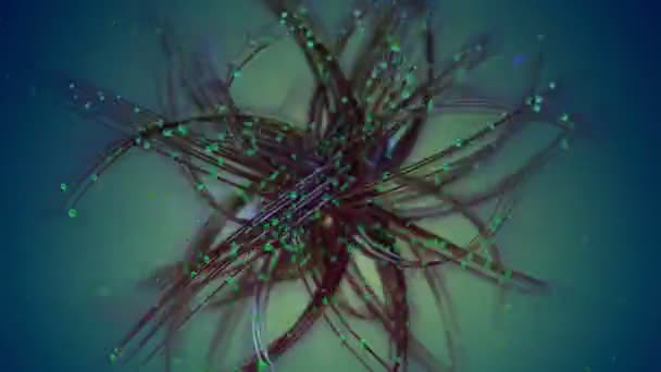 抽象的なツイスト クモの巣 — ストック動画