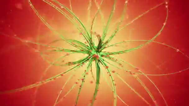 Résumé toile d'araignée tordue 