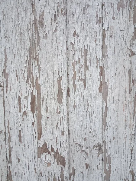 White Gray Wood Background Vintage Timber Texture — Stock Photo, Image