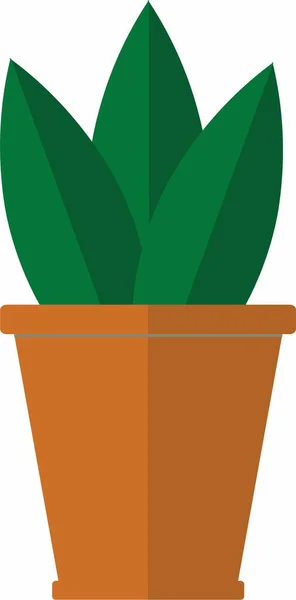 Home Flower Sansevieria Ceramic Pot — Stock Vector