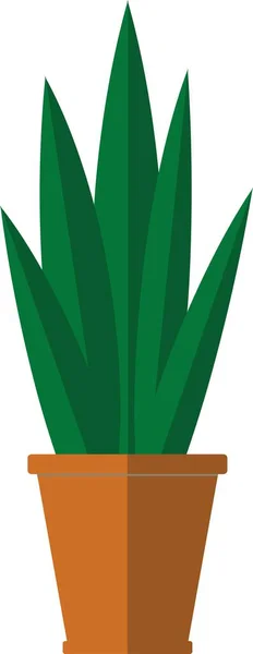 Inicio Flor Sansevieria Maceta Cerámica — Vector de stock