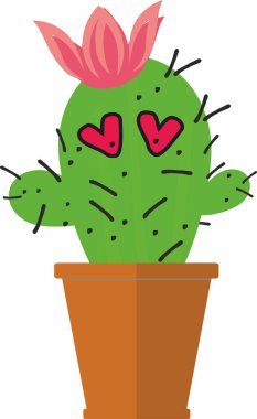 Seramik kapta tatlı sulu ya da kaktüs bitkisi