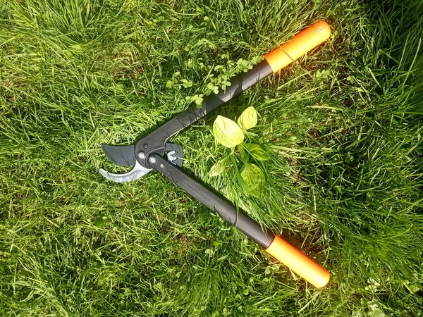 lopper, budama, bahçe kesme aracı,