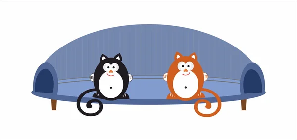 İki kedi oturun