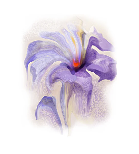 Violette Blüte — Stockfoto