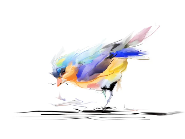 Watercolor drawing of cute bird — Stock Photo, Image