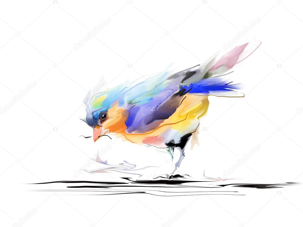 Watercolor drawing of cute bird