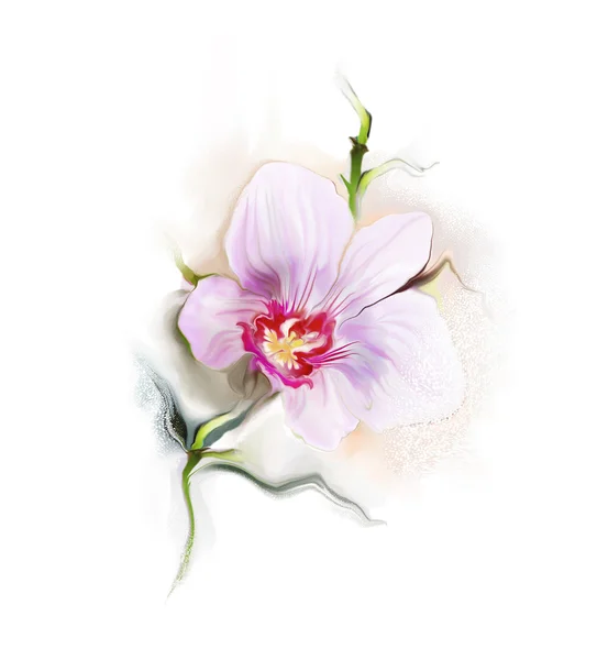 Card with spring flower — Stock Photo, Image