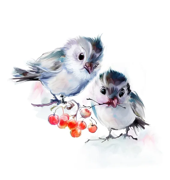 Kuşlarda kırmızı meyveler ile şube