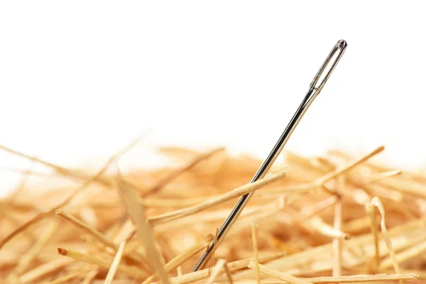 Close-up van een naald in een hooiberg. Isolted op witte achtergrond — Stockfoto