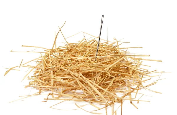 Closeup of a needle in haystack — Stock Photo, Image