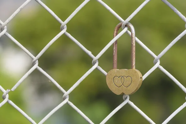 Närbild rostig hjärtformade hänglås låsta på järn kedja — Stockfoto