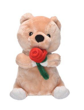 peluş oyuncak ayı