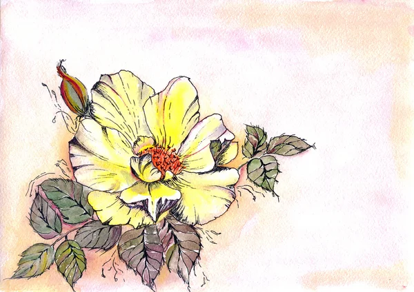 Filiżanka kwitnących. Akwarela — Zdjęcie stockowe