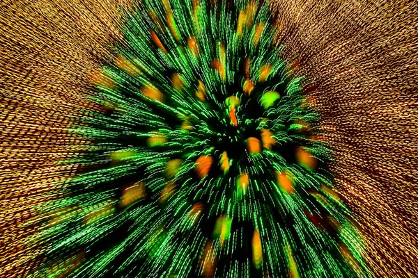 Conceptual photo of a decorated Christmas tree among the festive illumination. Long exposure. Selective focus. The effect of movement.