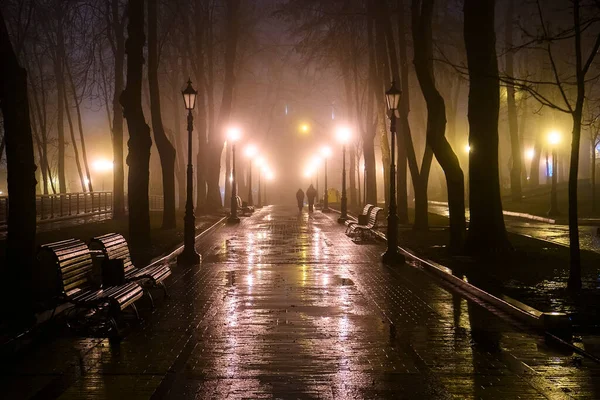 Sisli havada, eski parkın arka sokağının akşam manzarası. Yüksek kalite fotoğraf