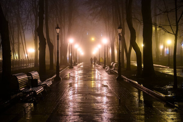 Evening view of the alley in the old park in foggy weather. High quality photo