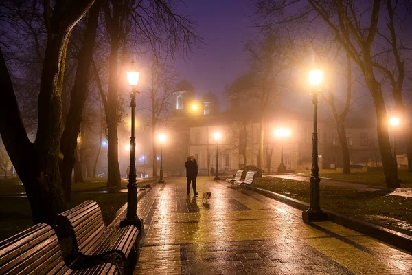 Večerní Pohled Uličku Starém Parku Mlhavého Počasí Kvalitní Fotografie — Stock fotografie