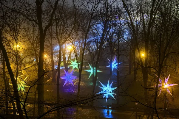 Večerní Pohled Starý Park Vánoční Hvězdou Dekorace Osvětlení Mlhavém Počasí — Stock fotografie