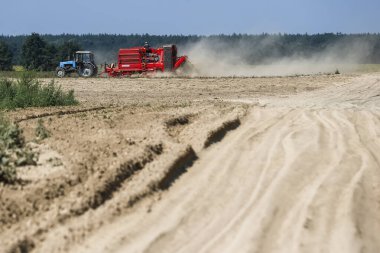 Patatesleri tarlada hasat ediyorlar. Kyiv bölgesi, Ukrayna. Ağustos 2014. Yüksek kalite fotoğraf