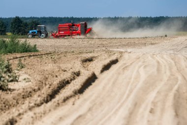 Patatesleri tarlada hasat ediyorlar. Kyiv bölgesi, Ukrayna. Ağustos 2014. Yüksek kalite fotoğraf
