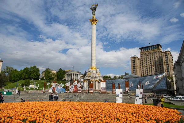 Велика Квітка Квітучих Тюльпанів Площі Незалежності Києві Травень 2021 Року — стокове фото