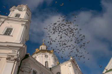 Ukrayna, Pochayiv Lavra, Pochayiv 'in Kutsal Katedrali' nin üzerinde uçan güvercin sürüsü. Ocak 2009. Yüksek kalite fotoğraf