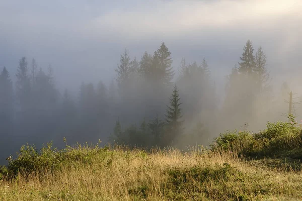 Mlhavá Krajina Ranní Mlha Vychází Vysoko Karpat Horách Ukrajině Kvalitní — Stock fotografie