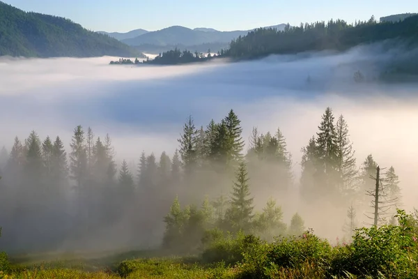 Paisaje Brumoso Niebla Matutina Amanecer Alto Las Montañas Los Cárpatos —  Fotos de Stock