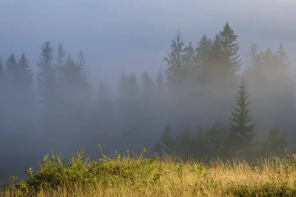Туманный Пейзаж Утренний Туман Горах Карпат Украине Высокое Качество Фото — стоковое фото
