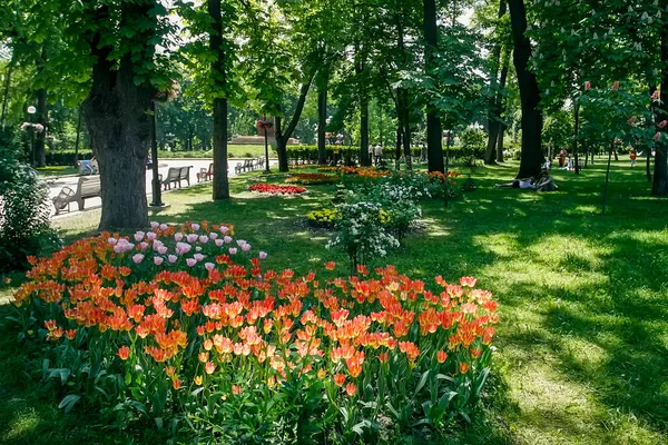 Flower beds with tulip flowers in Taras Shevchenko Park in the center of Kyiv, Ukraine. May 2011 — Stock Photo, Image