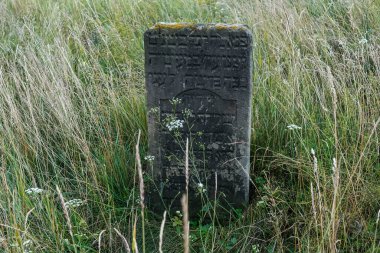 Kirkut 'taki antik mezar taşları ya da Ukrayna' nın Rivne bölgesindeki Korets kasabasındaki eski Yahudi mezarlığı. Ağustos 2021