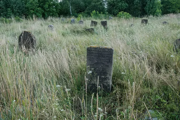 Αρχαίες επιτύμβιες στήλες στο Kirkut ή παλιό εβραϊκό νεκροταφείο στην πόλη Korets, περιοχή Rivne, Ουκρανία. Αύγουστος 2021 — Φωτογραφία Αρχείου