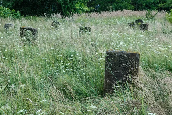 Gamla gravstenar på Kirkut eller gamla judiska kyrkogården i Korets stad, Rivne-regionen, Ukraina. Augusti 2021 — Stockfoto