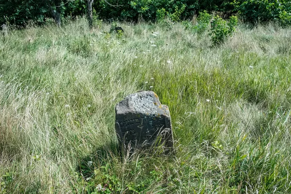 Lápides antigas no Kirkut ou antigo cemitério judaico na cidade de Korets, região de Rivne, Ucrânia. Agosto de 2021 — Fotografia de Stock