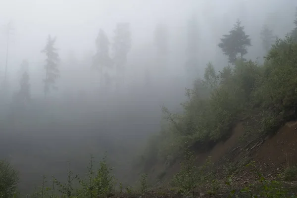 Paisaje Brumoso Niebla Matutina Amanecer Alto Las Montañas Los Cárpatos —  Fotos de Stock