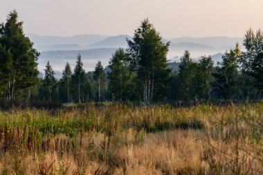Karkonosze Ulusal Parkı 'ndaki dağların sabah manzarası, Dev Dağlar, Polonya