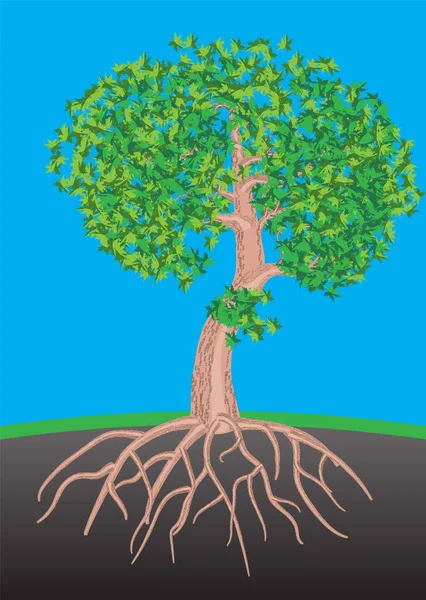 Deep Roots Plantストックベクター ロイヤリティフリーdeep Roots Plantイラスト Depositphotos