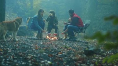 Köpekli bir aile, sonbahar akşamı ormanda kamp ateşinin etrafında oturur. Ormandaki bir yangında sosis kızartmak. Arkadaşlık şömineyi pişirir. Kapatın. Yavaş çekim