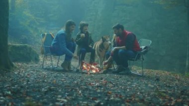 Rahat bir aile ve köpek, sonbahar akşamı ormanda kamp ateşi etrafında otururlar. Ormandaki bir yangında sosis kızartmak. Arkadaşlık şömineyi pişirir. Kapatın. Yavaş çekim