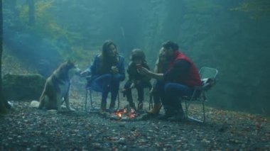 Akşamları köpeklerle birlikte ormanda sonbaharda kamp ateşinin etrafında otururlar. Ormandaki bir yangında sosis kızartmak. Arkadaşlık şömineyi pişirir. Kapatın. Yavaş çekim