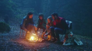 Sonbahar akşamı bir kamp ateşinin etrafında oturan köpeklerle yakın bir aile. Ormanda ateşte marşmelov kızartıyorum. Sohbet şenlik ateşi turizm dostluk gecesi. Yavaş çekim