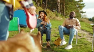 Hipster arkadaşlar doğada parti veriyorlar. Dört genç, köpekle gülümseyen birine sarılır. Tatil turizmi macerası. Yavaş çekim