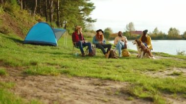 Hipster arkadaşlar doğada parti veriyorlar. Ormanda köpekle oturan dört genç insan gülümsüyor ve konuşuyor. Tatil turizmi macerası. Yavaş çekim