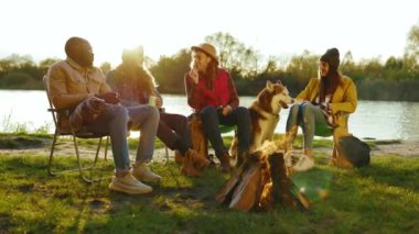 Güneşli ve çekici arkadaşlar doğada kamp ateşinin yanında oturuyorlar. Gençler oyunlar hakkında konuşurlar, köpeklerin gülümsemesiyle mutlu olurlar. Tatil turizmi macerası. Yavaş çekim