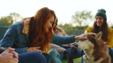 Arkadaşlar boğuk köpekle oynarlar ağzı açık, nefes alırlar ve insanların yanında otururlar. Evcil hayvanlar ve insanlar. Keyif portresi. Yavaş çekim