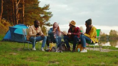 Bir grup arkadaş kamp ateşi etrafında oturur ve marşmelov kızartırlar. Ormandaki gençler. Kamp yapmak. Piknik. Yavaş çekim