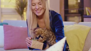 Beyaz tenli, sarışın, çekici bir kadın doğum gününü online olarak kutluyor, bilgisayarla sohbet ediyor ve sevimli, bengal kedisiyle oynuyor. Yaşam tarzı karantina.