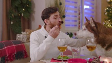 Süslü, rahat bir odada oturan genç adam kutlama yapıyor. Köpeğiyle şarap içiyor ve yemek yiyor. Yeni yıl kış tatili. Mutlu noeller. Yavaş çekim